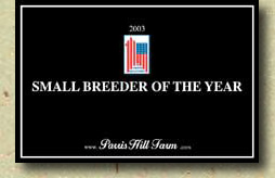 2003 All American Small Breeder of the Year