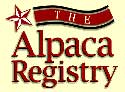 Alpaca Registry Inc.